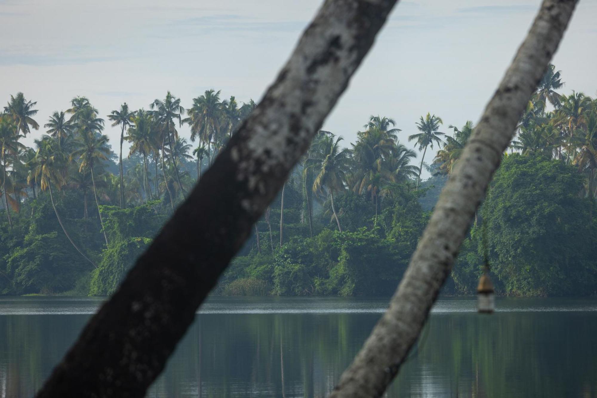 Cranganor History Cafe & Riverside Chateau North Paravur Dış mekan fotoğraf