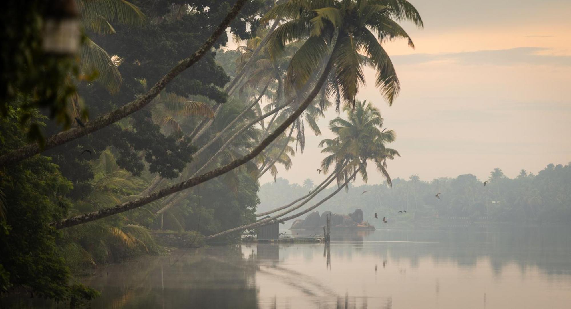 Cranganor History Cafe & Riverside Chateau North Paravur Dış mekan fotoğraf
