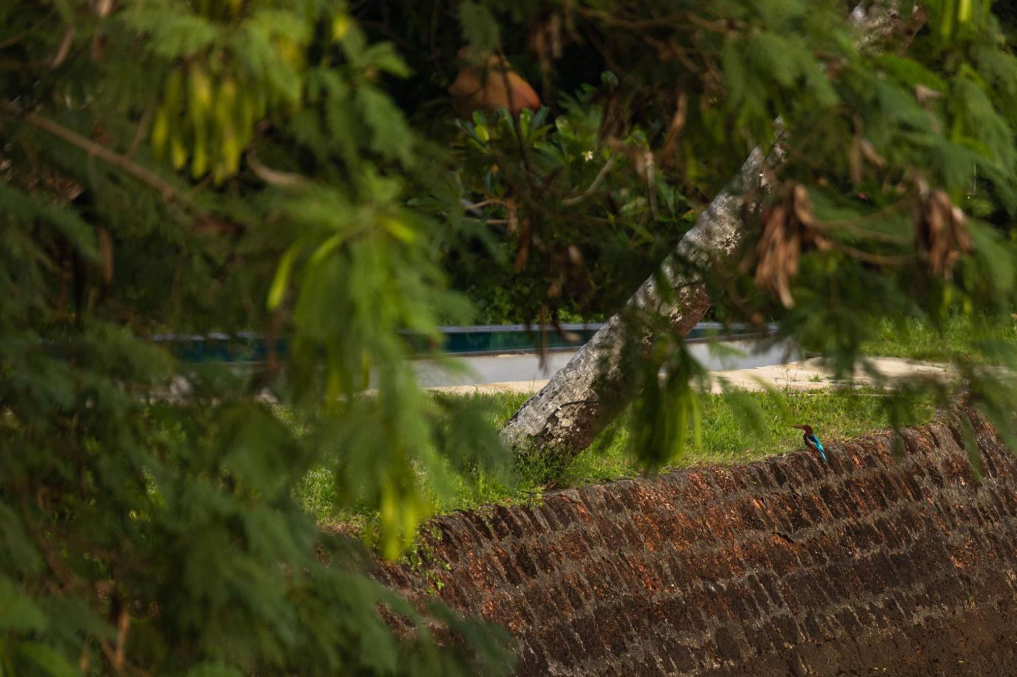 Cranganor History Cafe & Riverside Chateau North Paravur Dış mekan fotoğraf